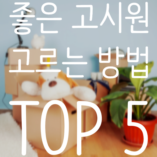  고시원 검색 꿀팁! 삶의 질을 놓여 주는 필수 조건 5가지