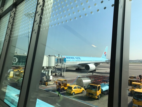  제주도 두달살이 D day / 제주도입도 / 제주생활시작 / 만족한상회