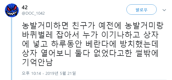  농발거미는 벌레들 다 먹는다고 해서 익충이라던데