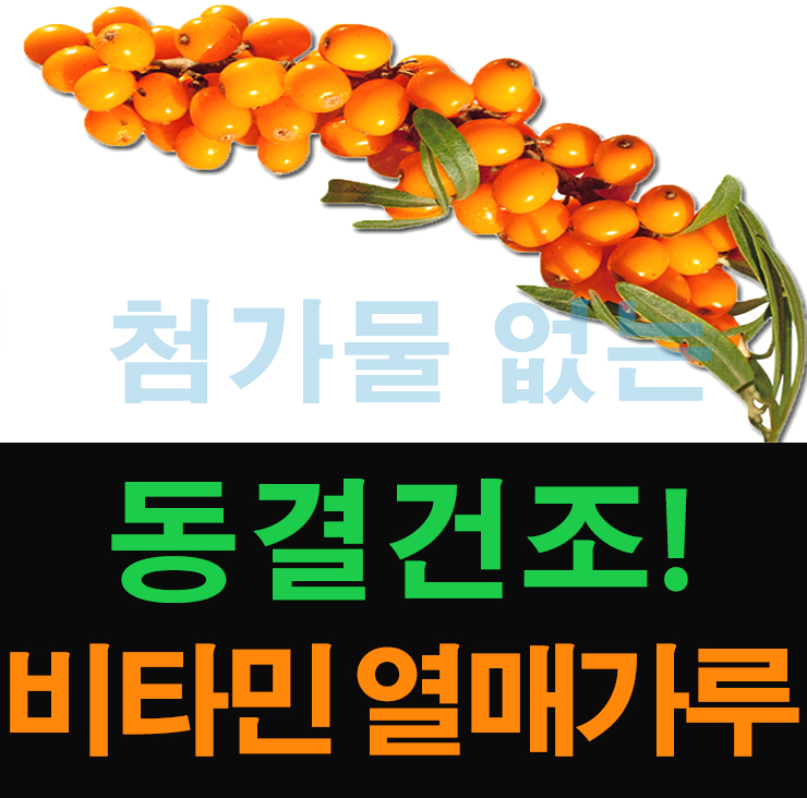  비타민나무 효능 산자나무 열매로만 만든 가루 파는곳(씨벅톤)