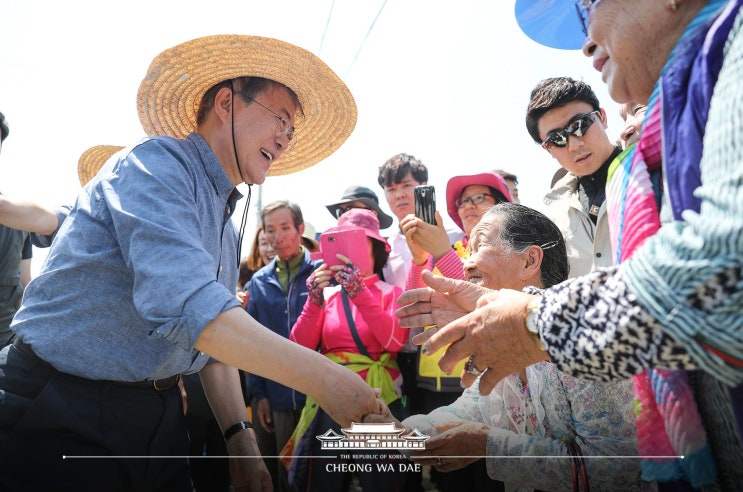 지금 만나러 갑니다 - <b>경주</b> 모내기 현장