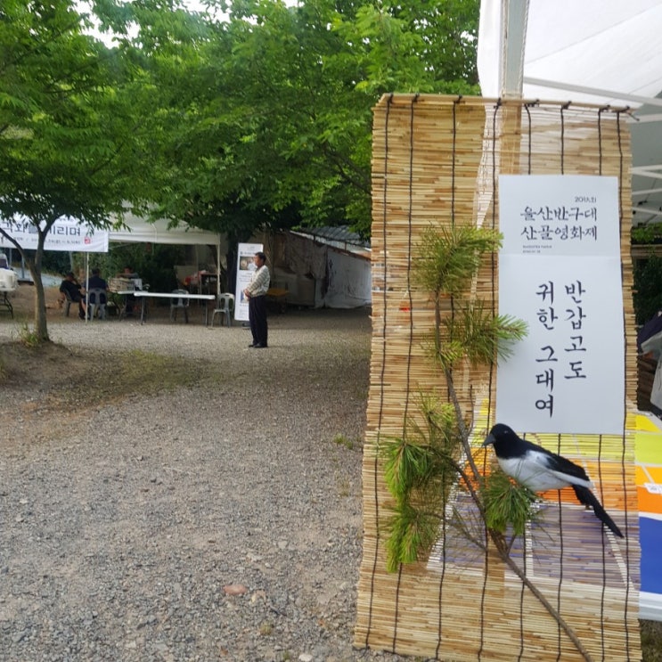  작년에 이어 울산반구대산골영화제 또 왔어요!