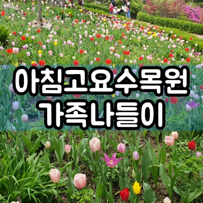  가평 아침고요수목원 16개월 아기랑 가족나들이 후기