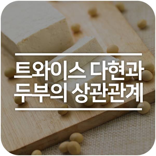  아이돌 트와이스의 흥부자, 흥두부 다현님과 두부의 상관관계(사심 주의)