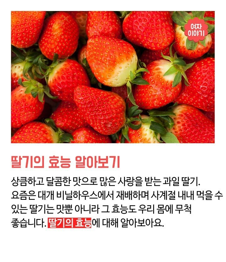  딸기의 효능 및 섭취방법