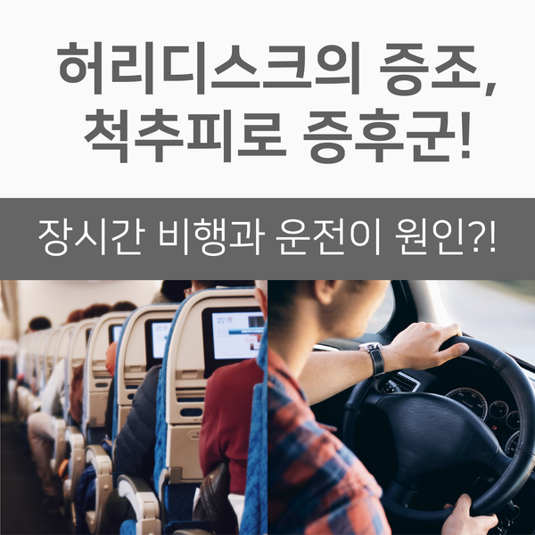  [근골격계 질환] 허리 디스크의 징조, 척추피로 증후군! 장시간 비행과 운전이 원인?!