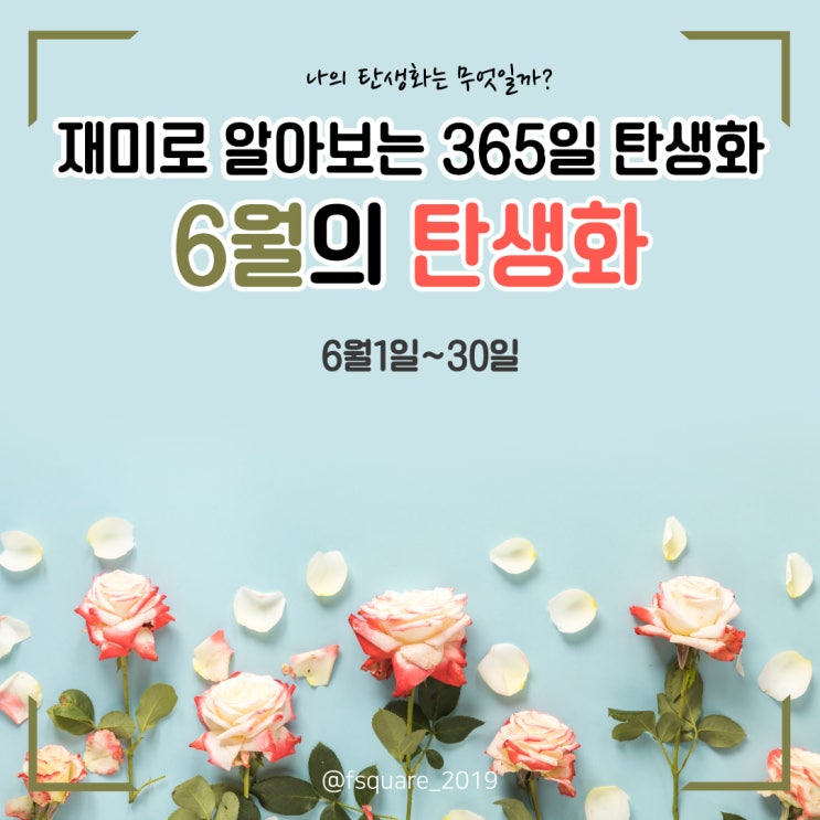  [플라워 뉴스] 재미로 알아보는 6월의 탄생화