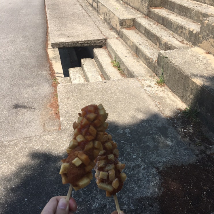  오월 투투데이︎('ω')︎