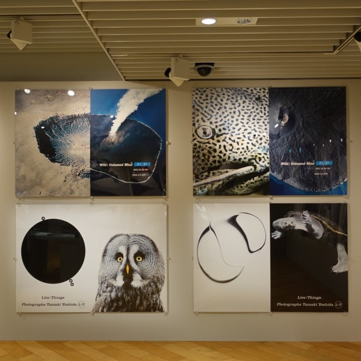  #190524 일본 도쿄 여행 1일차 - 긴자 그래픽 갤러리 ggg, 폴라 박물관 별관 POLA Museum Annex