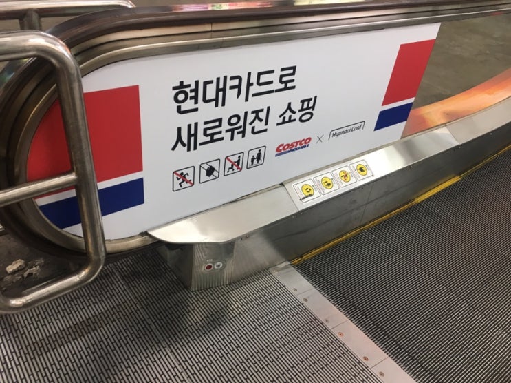  코스트코 양평점 현대카드 (현대백화점카드 제외한 모든 현대카드 가능)