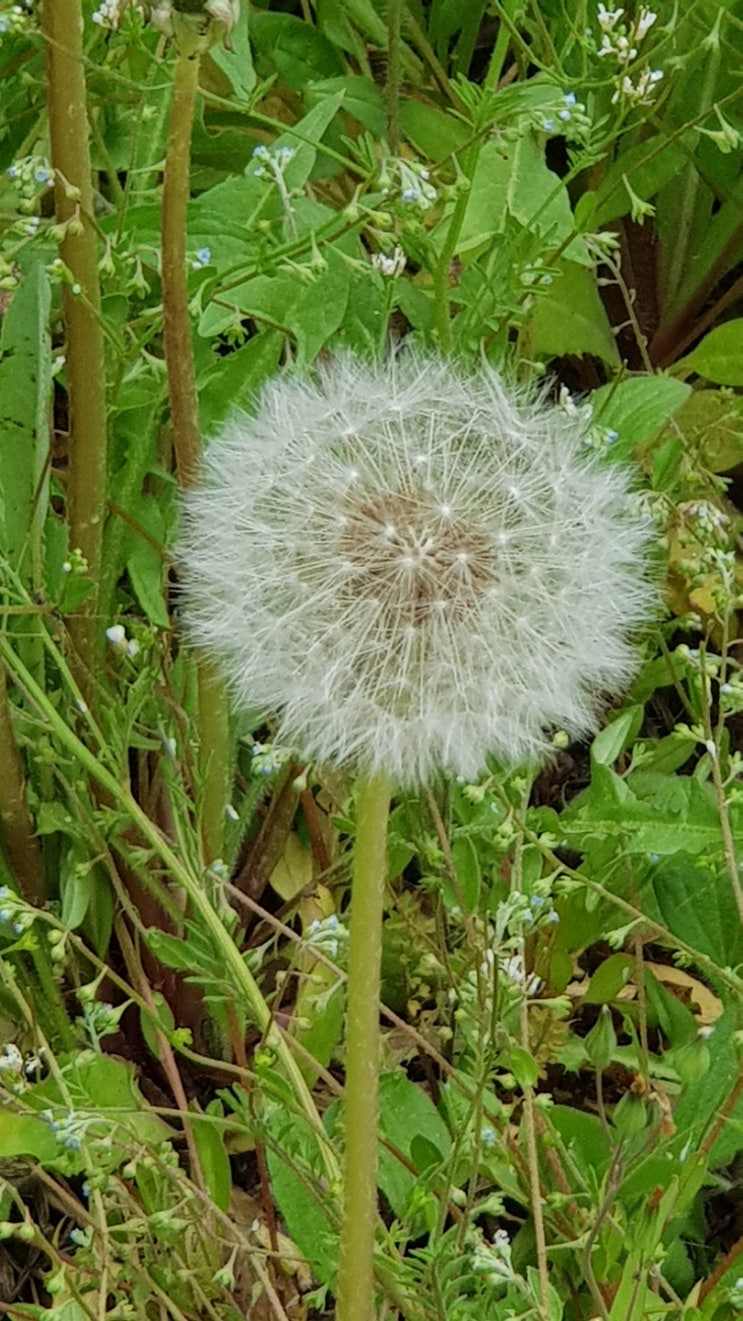 사람과 사람사이의 바램