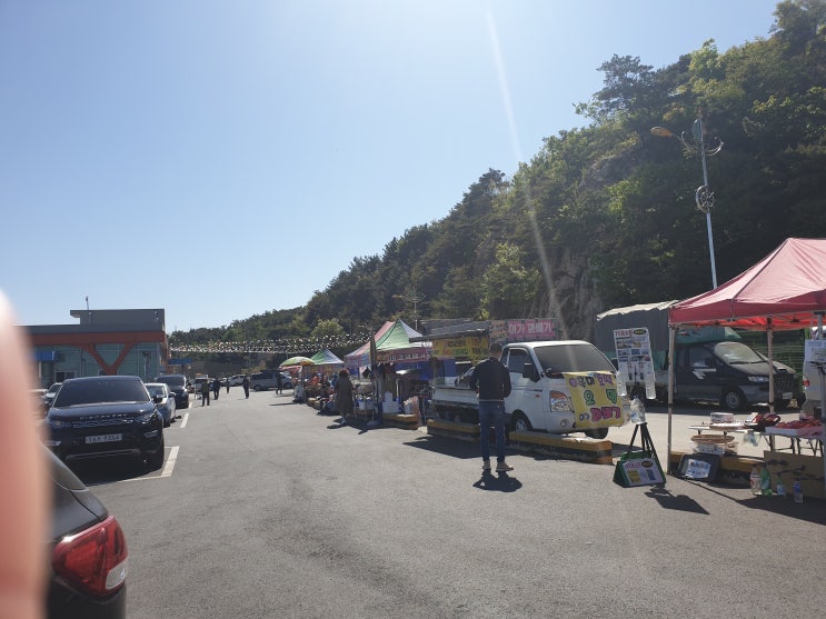  [충남당진/당진] 조금 늦은 포스팅. 장고항 실치축제 대박!