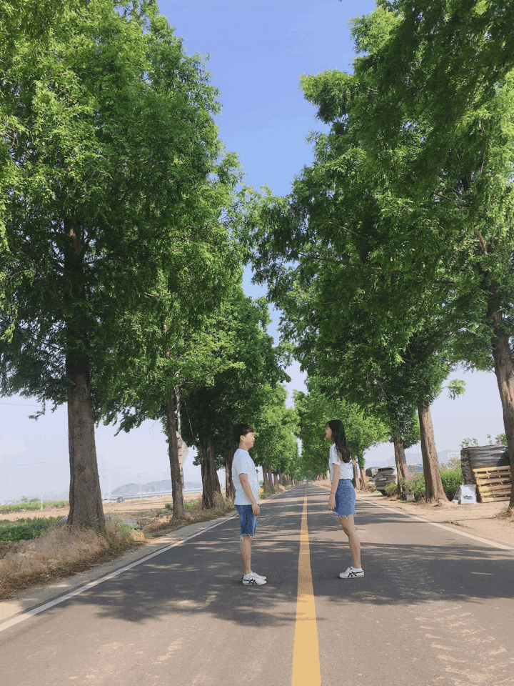  20190524 창원 메타세콰이어