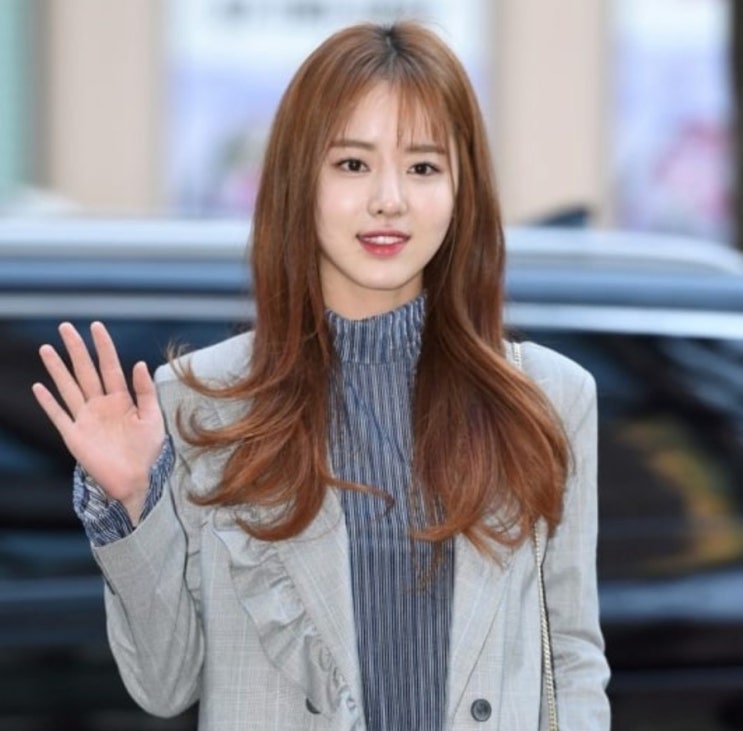  배우 한지선, 고령의 택시기사 폭행, '잘못 인정'