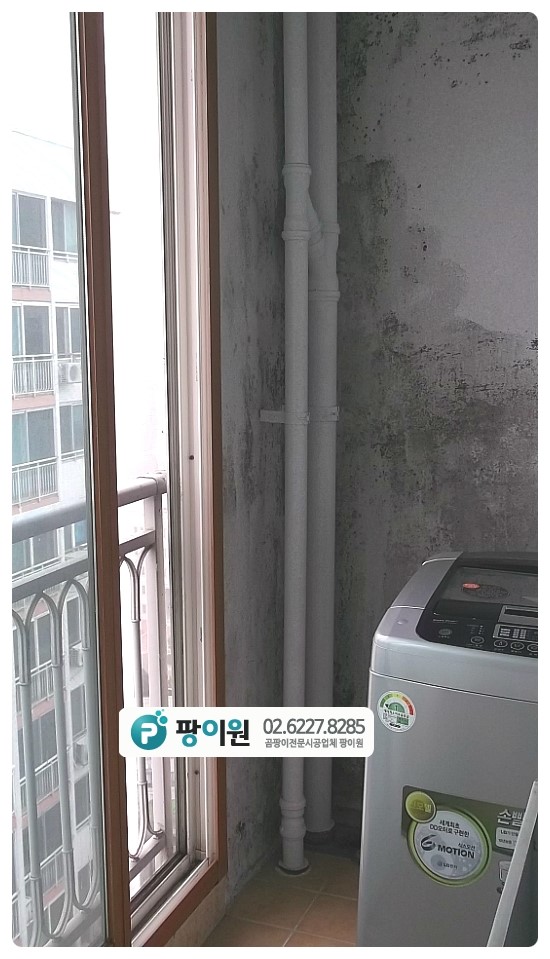  곰팡이제거업체 정직하고 재발이 없는곳!