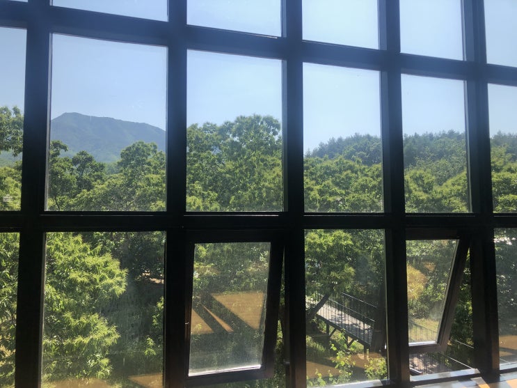  강릉 날씨 34도, 햇살이 반짝반짝