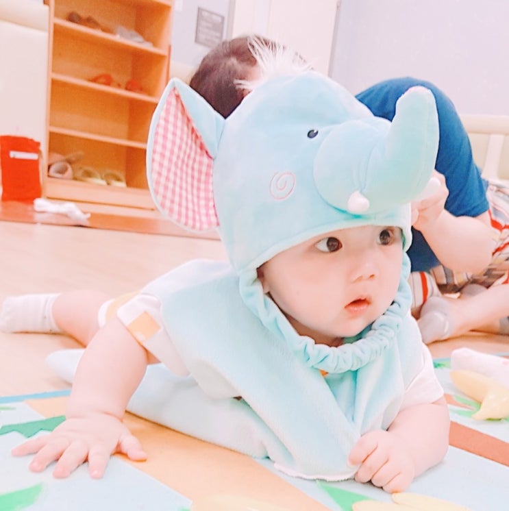  떠인왕자 코끼리