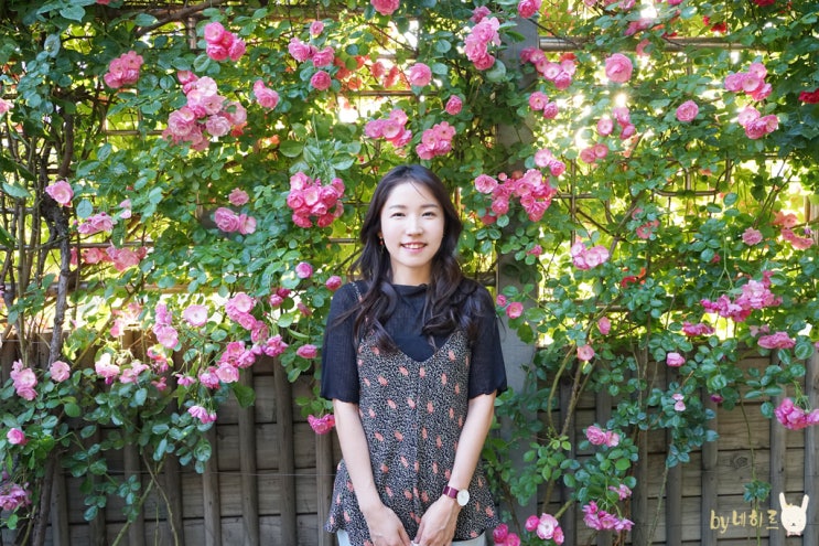  2019 중랑천 서울장미축제 장미꽃길 지금 너무 예뻐 :)