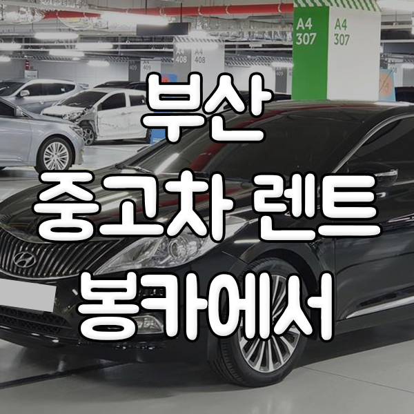 부산중고차장기렌트카 봉카에서 합리적이게