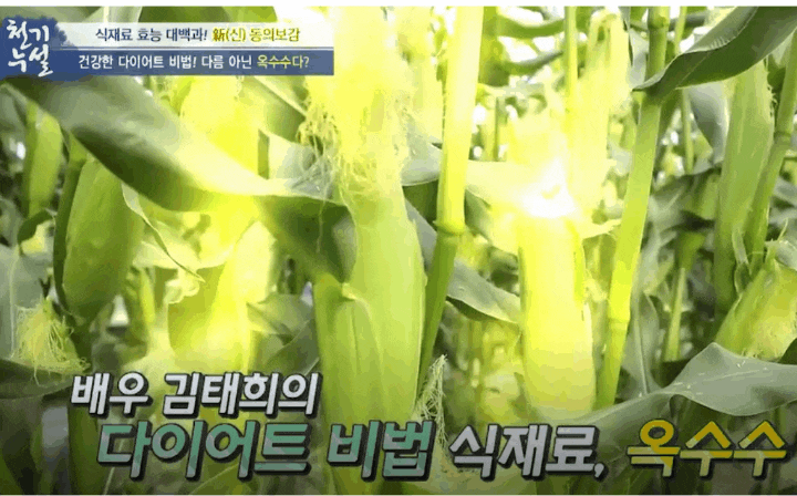  과일처럼 생으로 먹는 다이어트 식단 재료 초당옥수수 활용법 김태희 주먹밥 샐러드 찜 만드는 방법