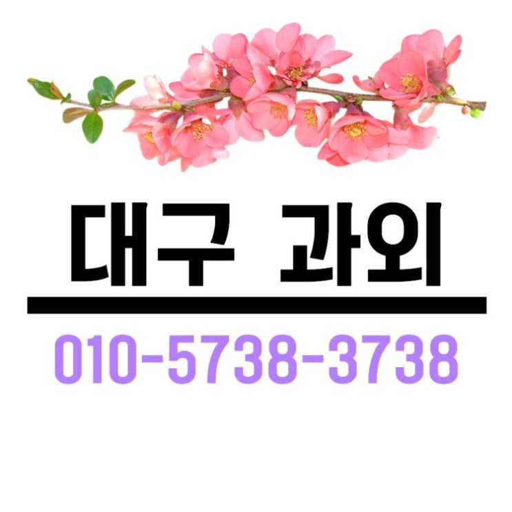  대구과외 대충 가르치지 않아요 대구수학과외 대구영어과외는 여기서