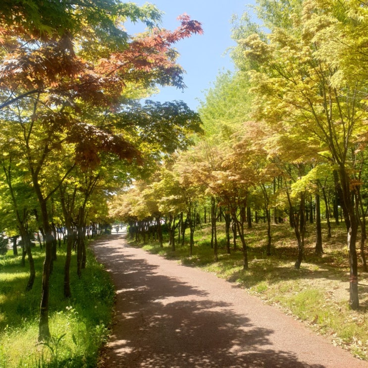  <오늘하루> 5월 22일부터 23일까지 먹고, 걷고, 영화보기