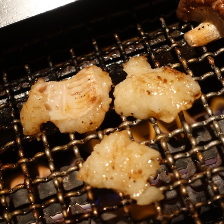  #190525 일본 도쿄 여행 1일차 - 긴자 맛집, DEDESUKE ホルモン でですけ