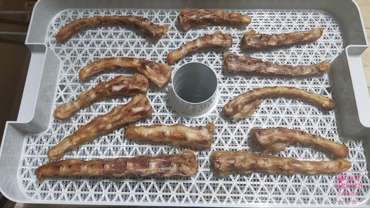  【반려견수제간식】 웰시코기 마루네 반려견수제간식 - 거성푸드 돼지꼬리뼈 수제간식 만들기