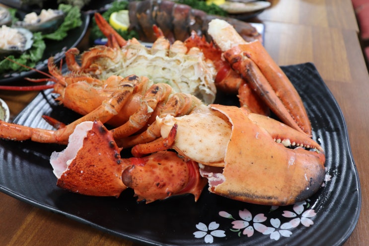  부산 자갈치시장 맛집 부산에서는 백호상회 무조건!!