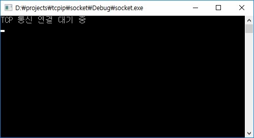  [ TCP/IP ] int 값 전송 및 binary file 전송 구현 (Windows/c++ 기반)