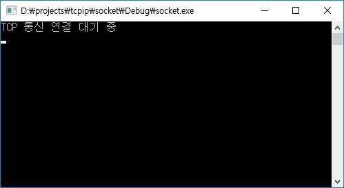 [ TCP/IP ] int 값 전송 및 binary file 전송 구현 (Windows/c++ 기반)