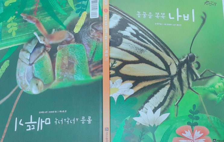  키즈스콜레 독전/독후활동 #29 야호자연아 꽃꿀을 쪽쪽 나비 풀을 사각사각 메뚜기