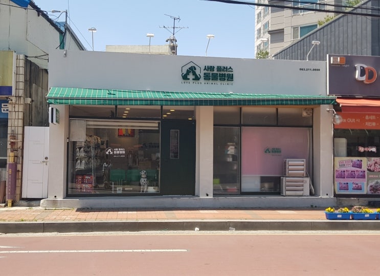  [전주]사랑플러스동물병원/강아지병원/동물병원/오륙/뾰미/치석제거/미용가능/아프지마