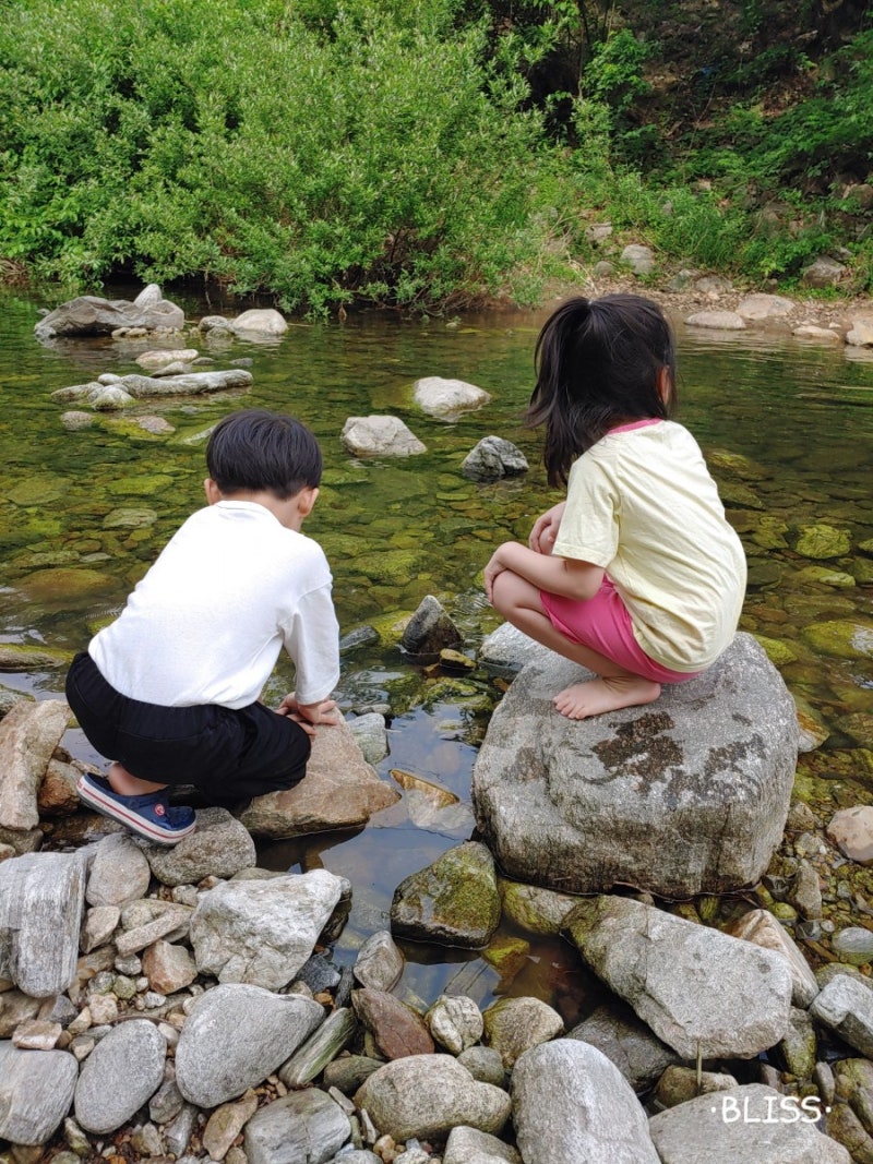 즐거운 주말 보내세요✨ : 네이버 블로그
