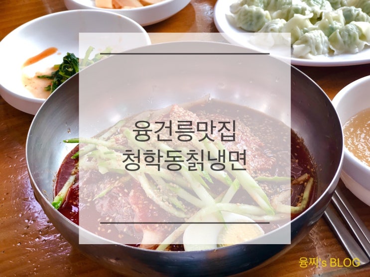  융건릉 맛집 ) 살얼음 동동 시원한 청학동 칡냉면