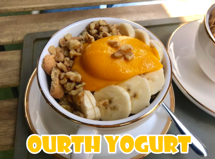  [ 아오스요거트 / OURTH YOGURT ] 건대에 처음 생긴 꾸덕한 수제 그릭요거트 맛집