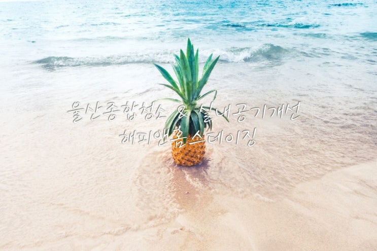  [울산고려아연사택]울산사택청소도 잘해요! 울산냄새제거 실내공기개선^^