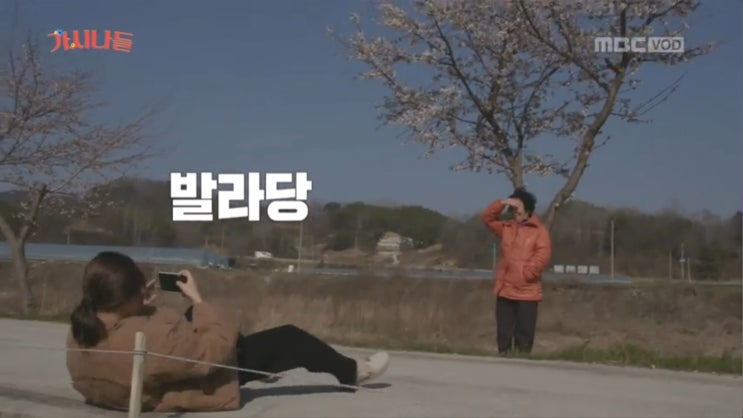  읽은 책 몇 권 + 가시나들