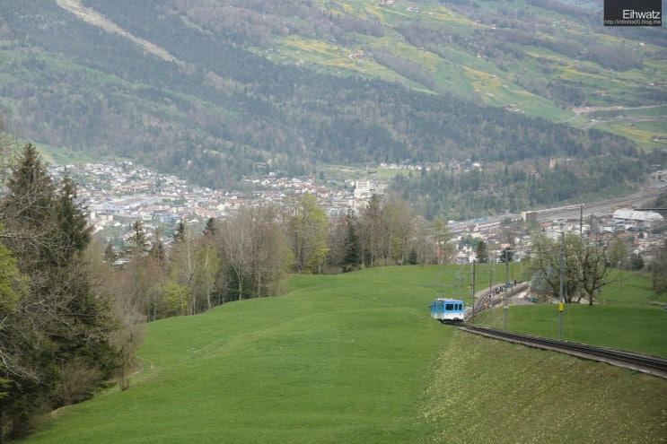 190421 스위스 여행 2일차: 리기 산-골다우-루체른 이동