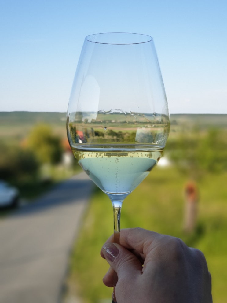 오스트리아 와인-헝가리 와인과 뗄 수 없는 관계