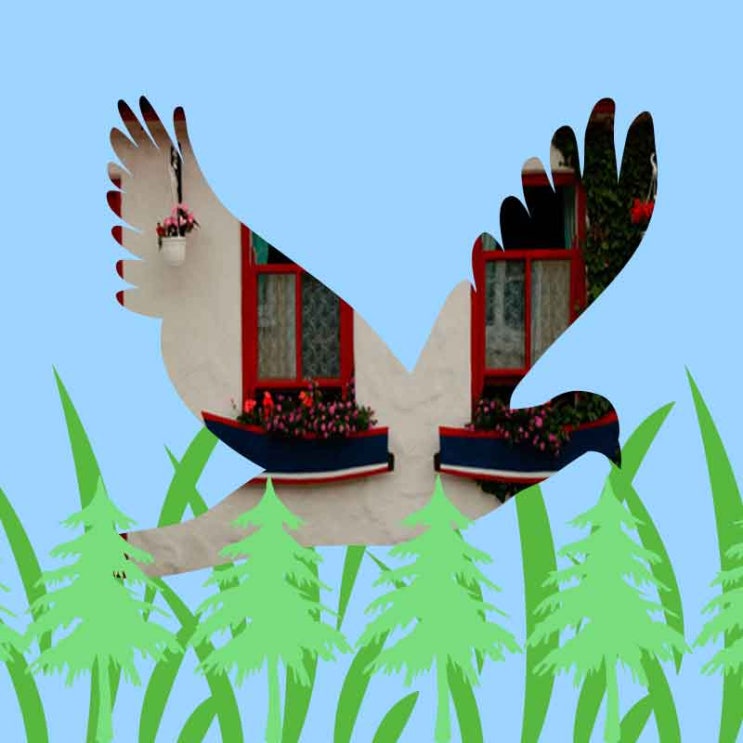  아하 나비구조대 AHa Butterfly Rescuers 진짜는 여기입니다.