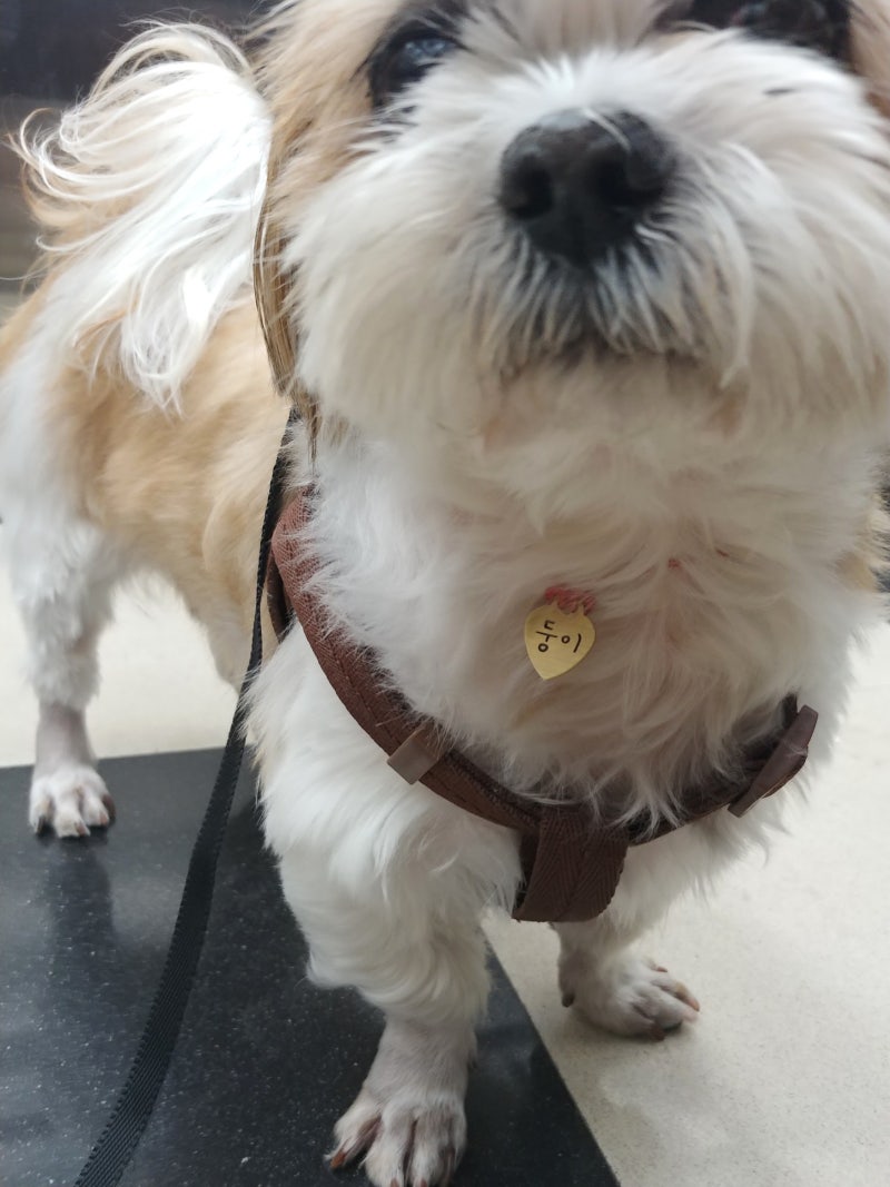 닌텐도스위치2 마리오카트칩 | 중고나라 - 안심되는 중고거래, image size:800x1067