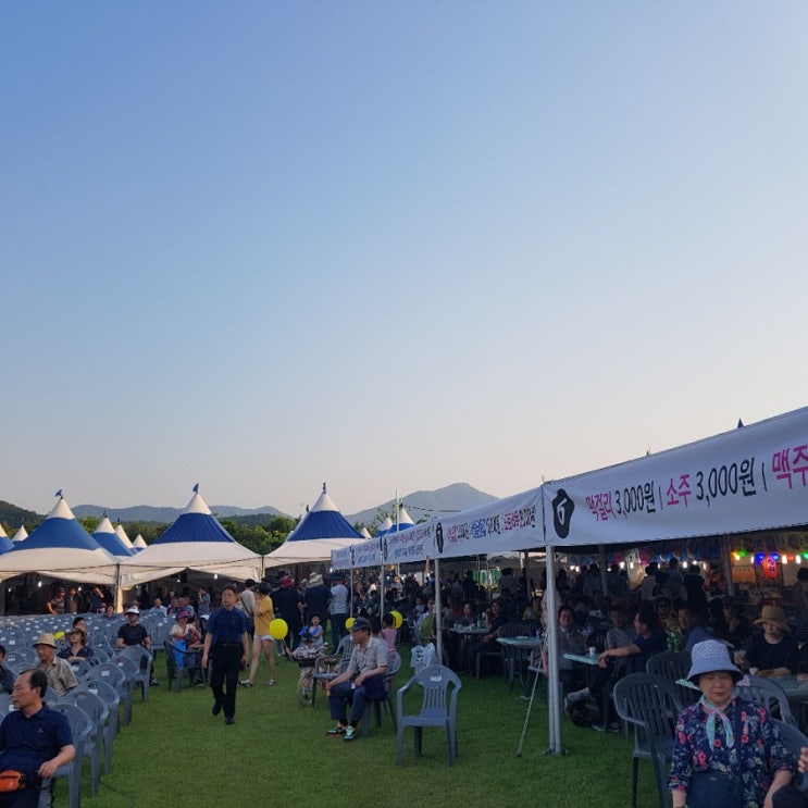  2019 내고장사랑대축제 24~26일 대구 동구 율하체육공원으로 구경가요~