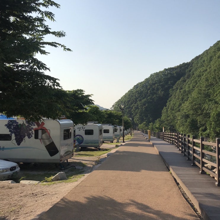  [영천캠핑,영천여행]  영천치산캠핑장