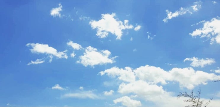  산들~ <산들02> 산들×윤종신 콜라보 소식+ α ...20190524 