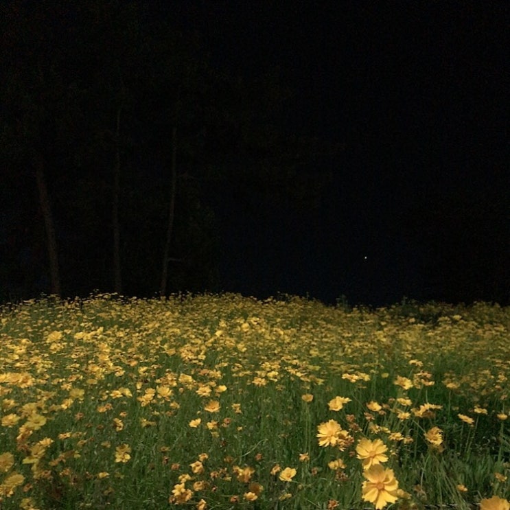  [diary] 나눔의 행복 :-)
