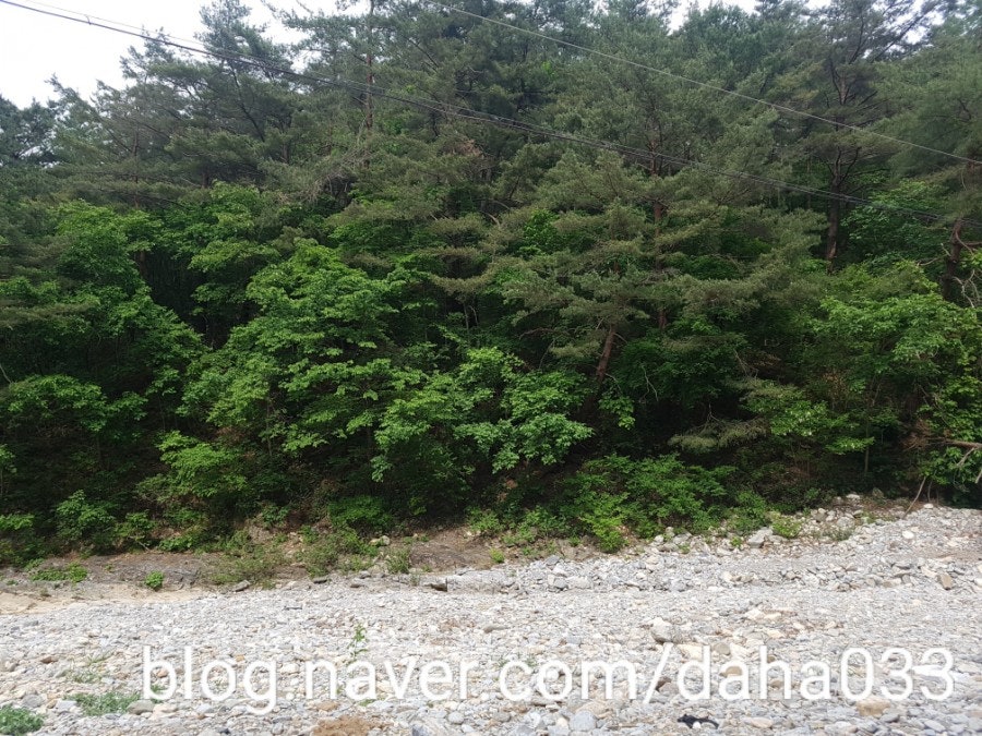 덕산기의아침펜션 사진 1