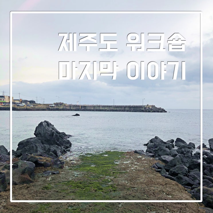  제주도워크숍#6. 이름모를 바다, 유퉁 놀이터, 제주항공우주 박물관