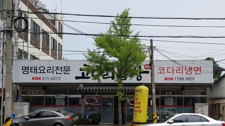  [전주]코다리밥상/명태요리전문/코다리냉면/코다리조림/혼밥/동산동맛집/냉면