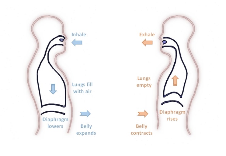 사각근을 위한 복식 호흡법(횡격막 호흡)